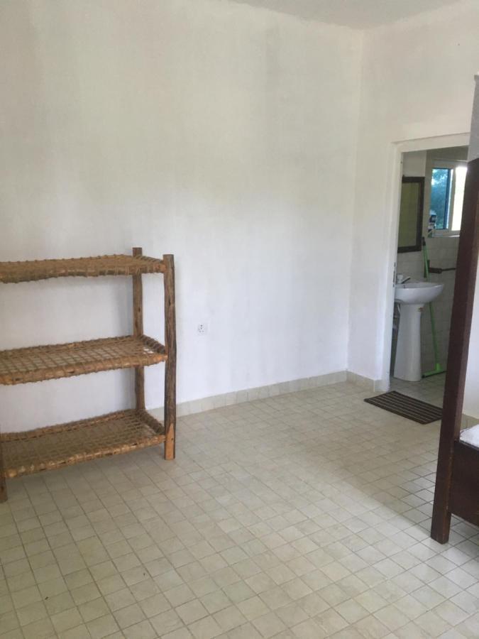 Tayana Place Apartment Kizimkazi Exterior photo